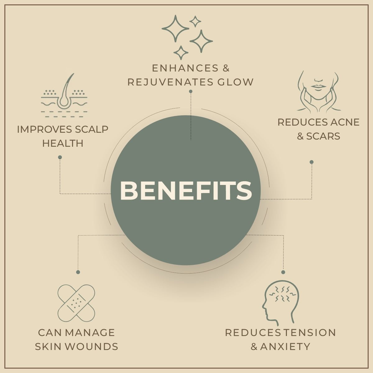 Salvia Natural Essential Oils Myrtle Essential Oil Salvia Natural Essential Oils Myrtle Essential Oil